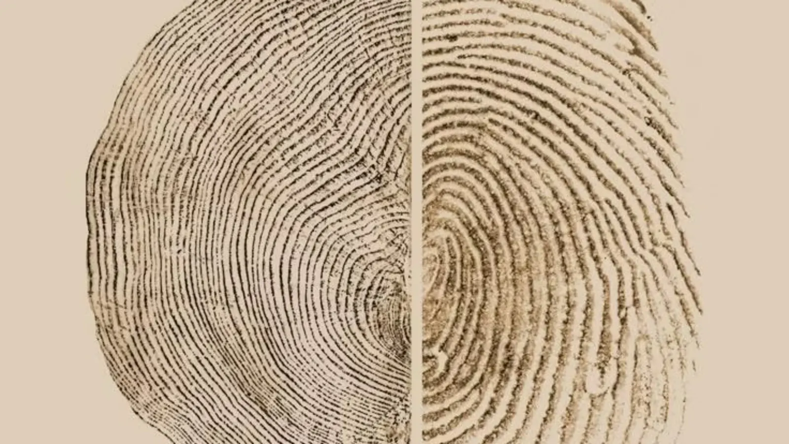 Macro fingerprint representing data integrity and identity